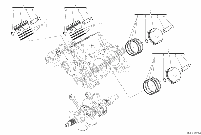 Toutes les pièces pour le Cylindres - Pistons du Ducati Superbike Panigale V4 S USA 1100 2019